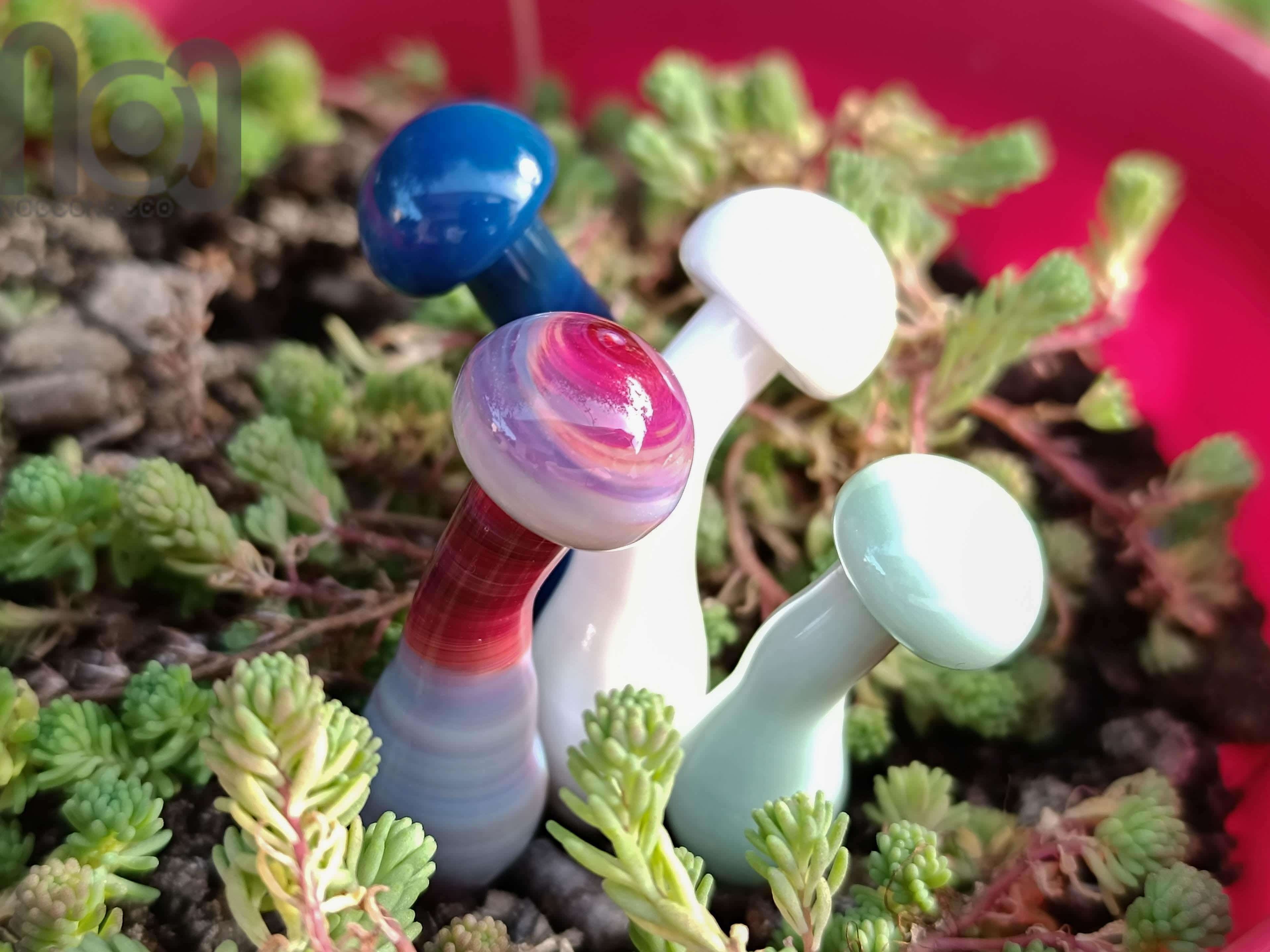 Plant Poker Mushrooms — handmade borosilicate glass by NoccoNocco, made in Greece