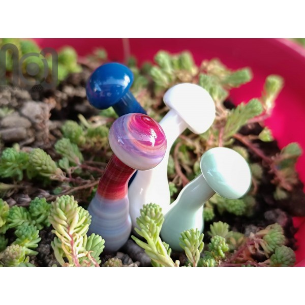 Plant Poker Mushrooms